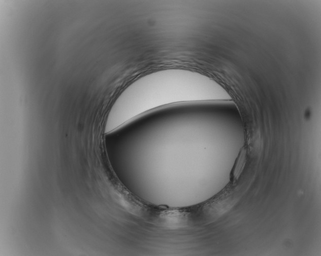 X0000089760231200706211002