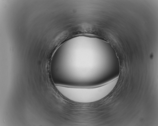 X0000089760233200706211002