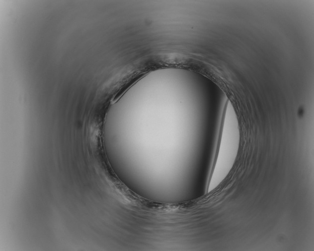 X0000089760235200706211002