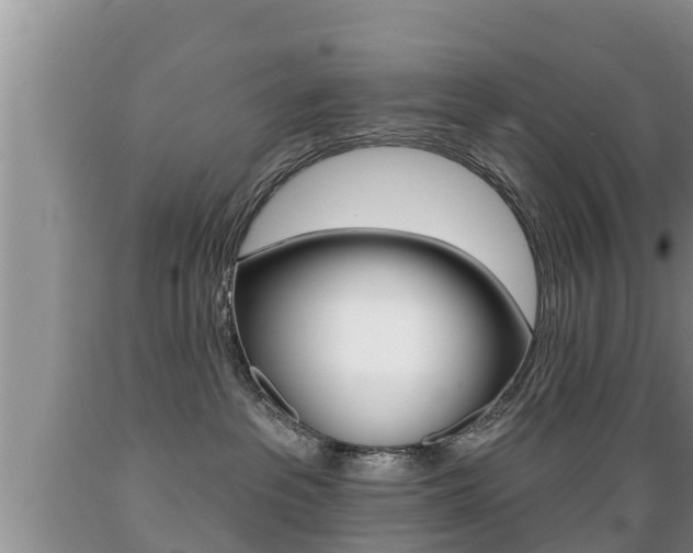 X0000089760237200706211001