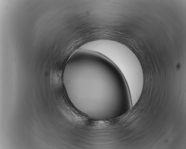 X0000089760239200706211001