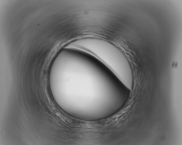 X0000089760241200706211001