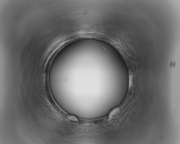 X0000089760243200706211001