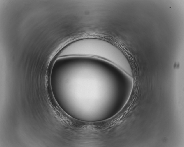 X0000089760244200706211001