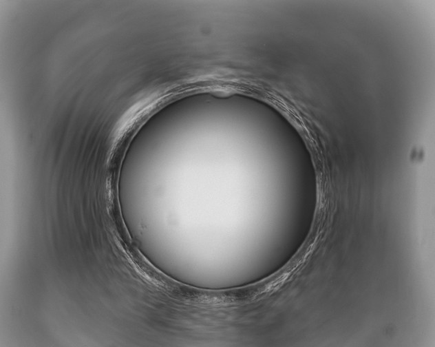X0000089760245200706211001