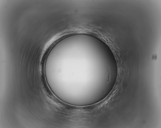 X0000089760246200706211001