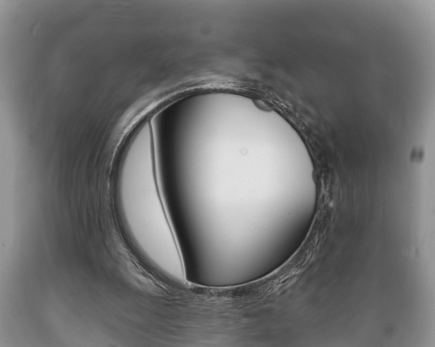 X0000089760247200706211001