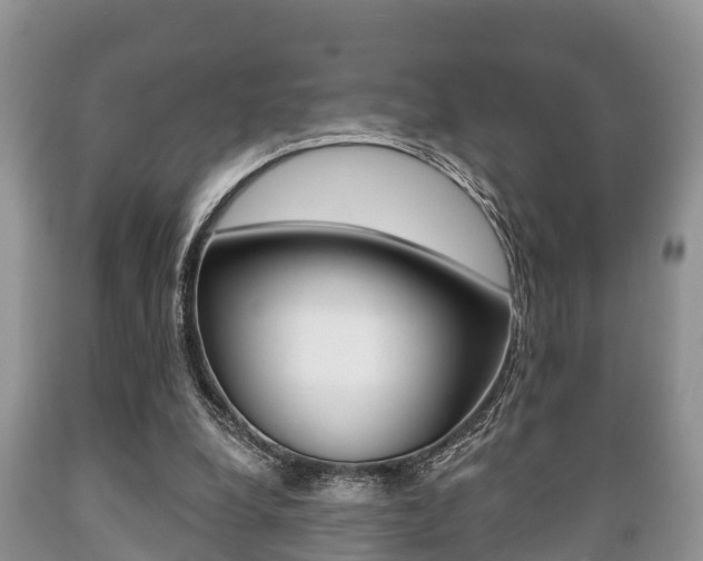 X0000089760248200706211001