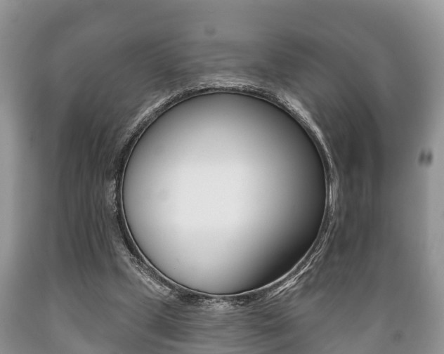 X0000089760249200706211001
