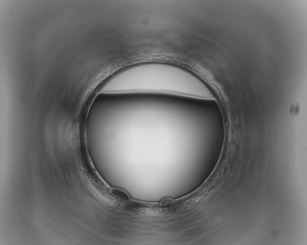 X0000089760250200706211001