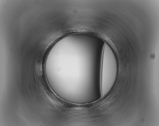 X0000089760251200706211001