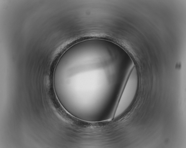 X0000089760252200706211001