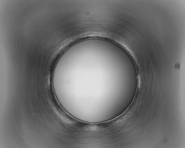 X0000089760253200706211001
