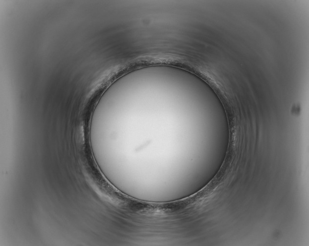 X0000089760254200706211001