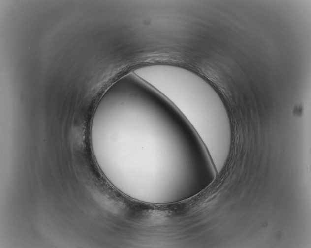 X0000089760255200706211001