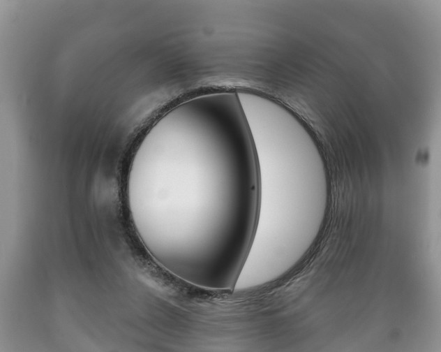 X0000089760256200706211001