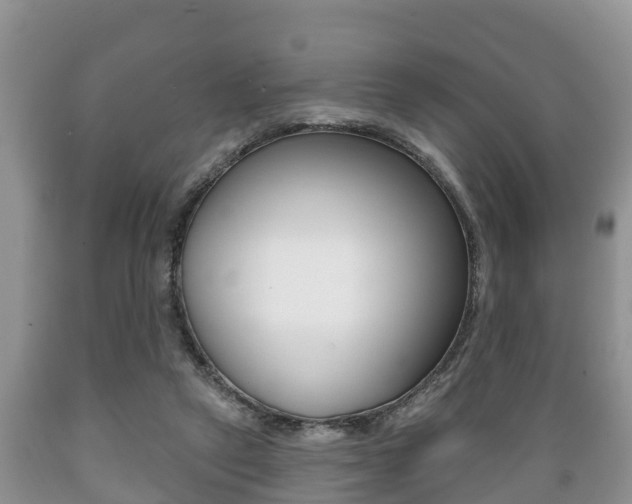 X0000089760257200706211001