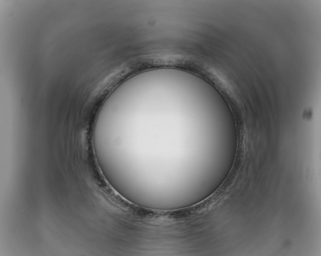 X0000089760258200706211001