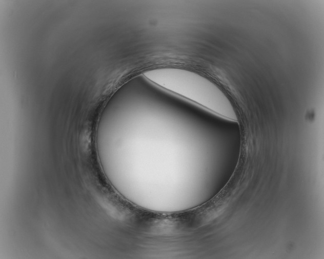 X0000089760259200706211001
