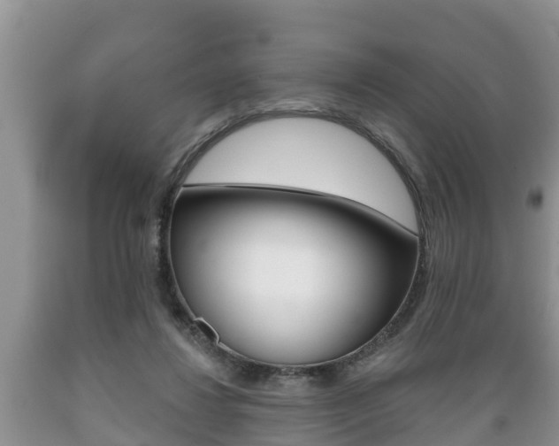 X0000089760260200706211001