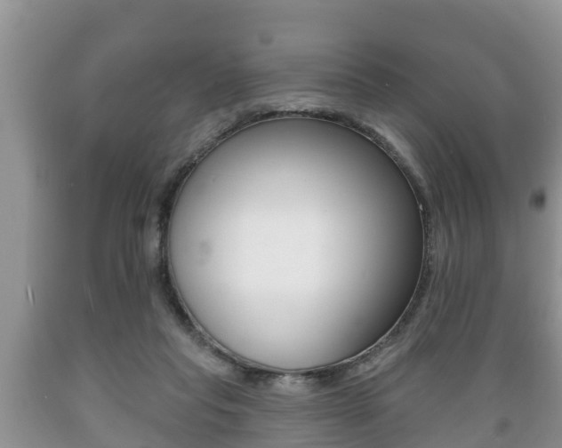 X0000089760261200706211001