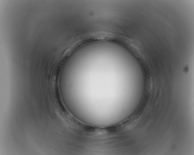 X0000089760263200706211001