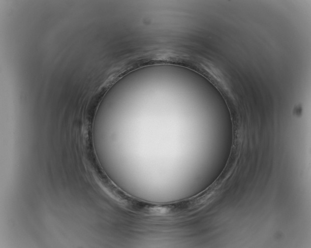 X0000089760265200706211001