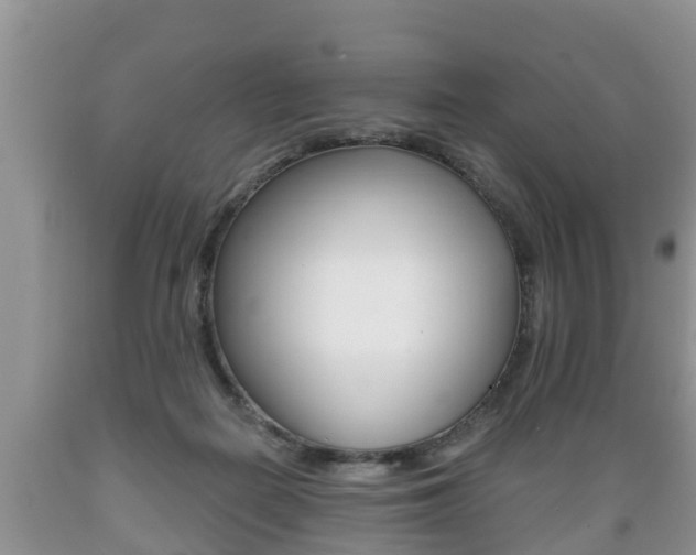 X0000089760266200706211001