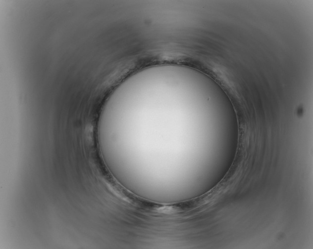 X0000089760269200706211001