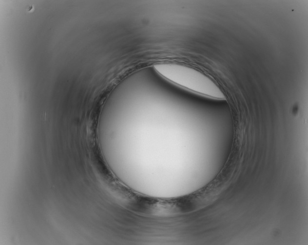 X0000089760270200706211001