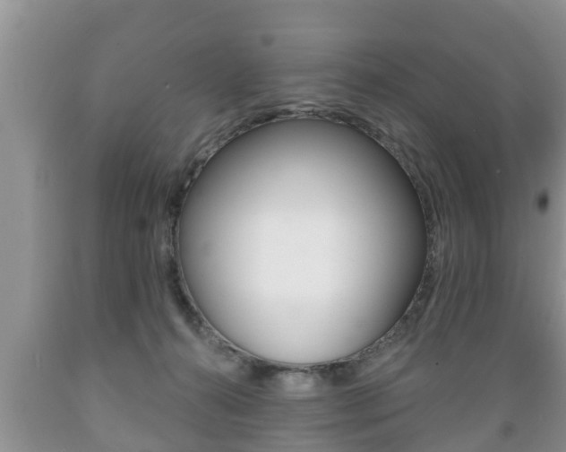 X0000089760272200706211001