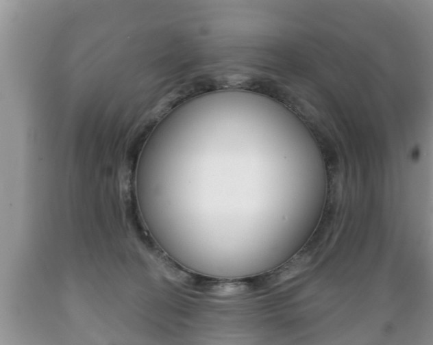 X0000089760274200706211001