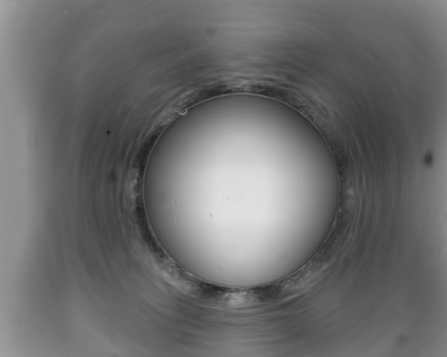 X0000089760275200706211001