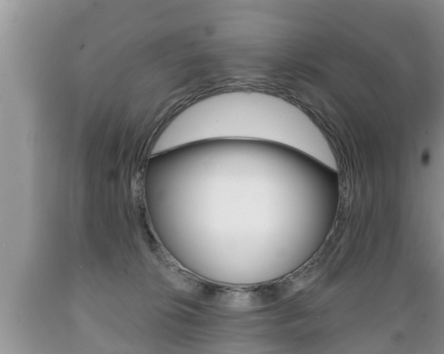 X0000089760276200706211001