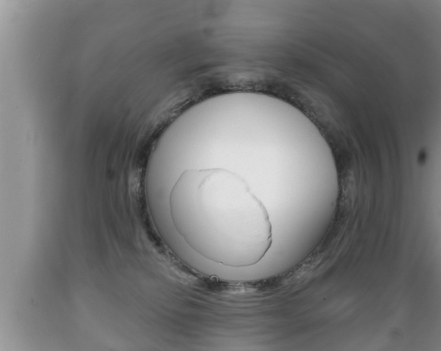 X0000089760278200706211001