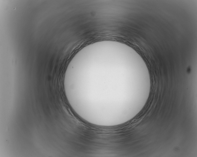 X0000089760280200706211001