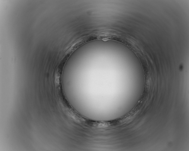 X0000089760282200706211001