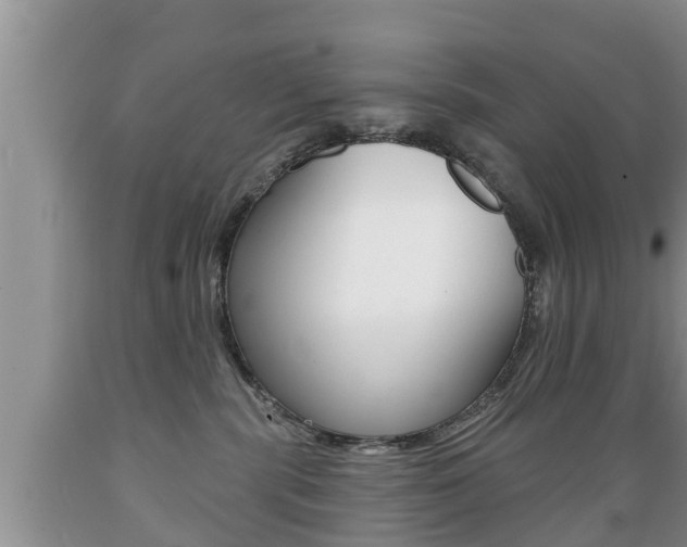 X0000089760283200706211001