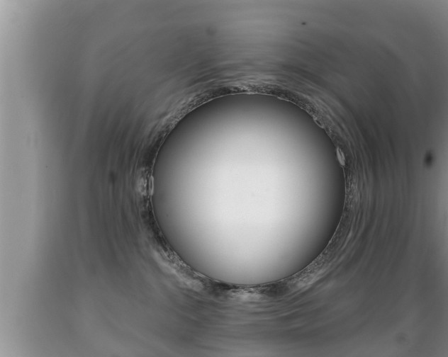 X0000089760284200706211001