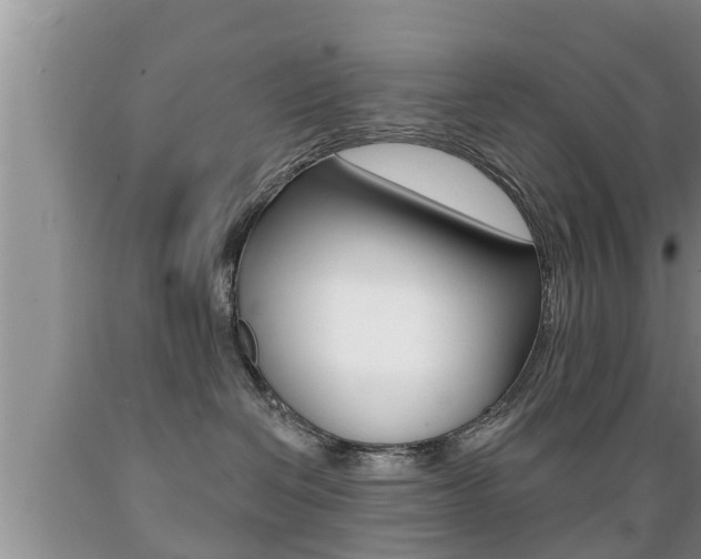 X0000089760286200706211001