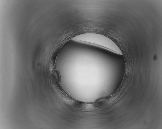 X0000089760287200706211001