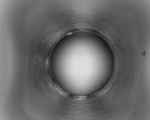 X0000089760288200706211001