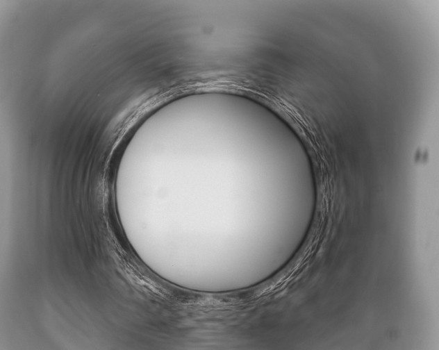 X0000089760290200706211001