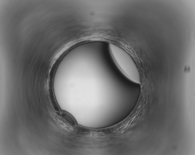 X0000089760292200706211001