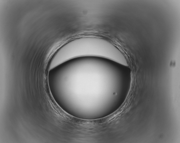 X0000089760293200706211001