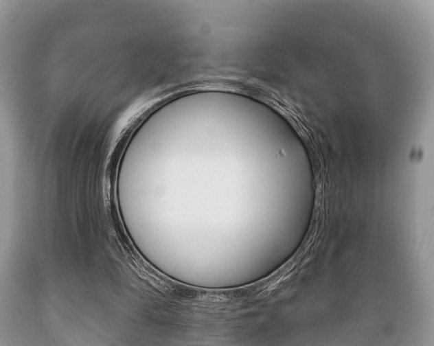 X0000089760294200706211001