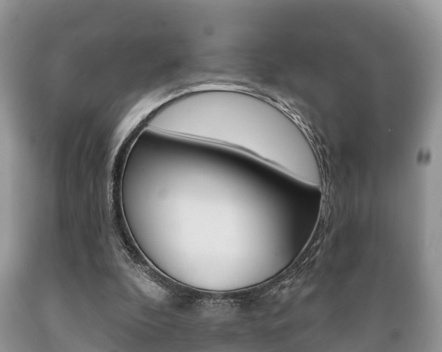 X0000089760296200706211000