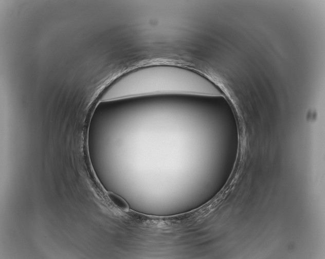 X0000089760297200706211000