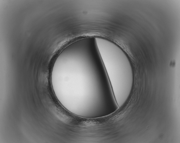 X0000089760300200706211000