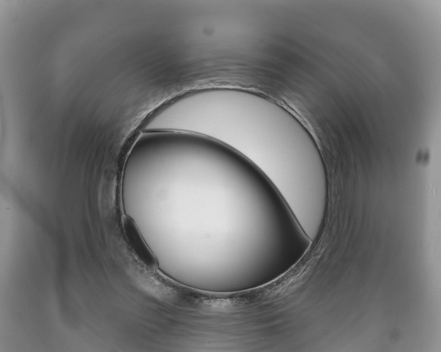 X0000089760301200706211000